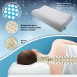ISSAGE - ERGOBUBBLE GREY - Oreiller de voyage en mousse à mémoire de forme<h2>Coussin cervical avec mousse à mémoire de forme viscoélastique qui s'adapte à votre cou</h2>

<div style=margin-left:30px;>
<ul>
<li type=disc>Système à bulles pour un support ferme et aéré</li>
<li type=disc>Oreiller idéal pour vos voyages et repos</li>
<li type=disc>Mousse intérieure qui s'adapte au contour du cou</li>
<li type=disc>Taille 48x29x5 centimètres et avec housse amovible et lavable</li>
<li type=disc>Courbure confortable pour un repos profond, sans forcer les muscles</li>
<li type=disc><a href=/fr/catalogsearch/result/?q=ERGOBUBBLE target=_self>Disponible en plusieurs couleurs</a></li>
</ul>
</div>


L'oreiller de voyage Issage est conçu pour vous offrir un bien-être pendant le sommeil et un maximum de confort lors de vos escapades ou voyages.
 Dormez confortablement grâce à sa mousse mémoire.


Nous passons un tiers de notre vie à dormir.
.
.
 alors prenez soin de votre corps et dormez dans une position correcte grâce à l'oreiller cervical avec mousse à mémoire de forme et système à bulles.