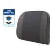 ISSAGE - FORY GEL - Ergonomic cushion with lumbar support and cold effect gel<h2>Ergonomic support with memory that protects you from sitting badly in dangerous positions</h2>
<div style=margin-left:30px;>
<ul>
<li type=disc>Gel with cold effect</li>
<li type=disc>Made of high quality polyurethane foam</li>
<li type=disc>Adjustable strap to fit most seats</li>
<li type=disc>100% polyester cover with zipper</li>
<li type=disc>The cover can be washed by hand and in a washing machine.
 (The padding cannot be washed in a washing machine)</li>
</ul>
</div>
 This <b>lumbar support with memory and cold effect gel</b> helps to <b>improve circulation, improves the posture</b> of the body, relieving lumbar pain and providing more comfort.


If you feel stiff and sore after a long day at work or experience back pain, you need this comfortable lumbar support for seats.